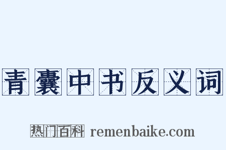 青囊中书反义词是什么意思的图片
